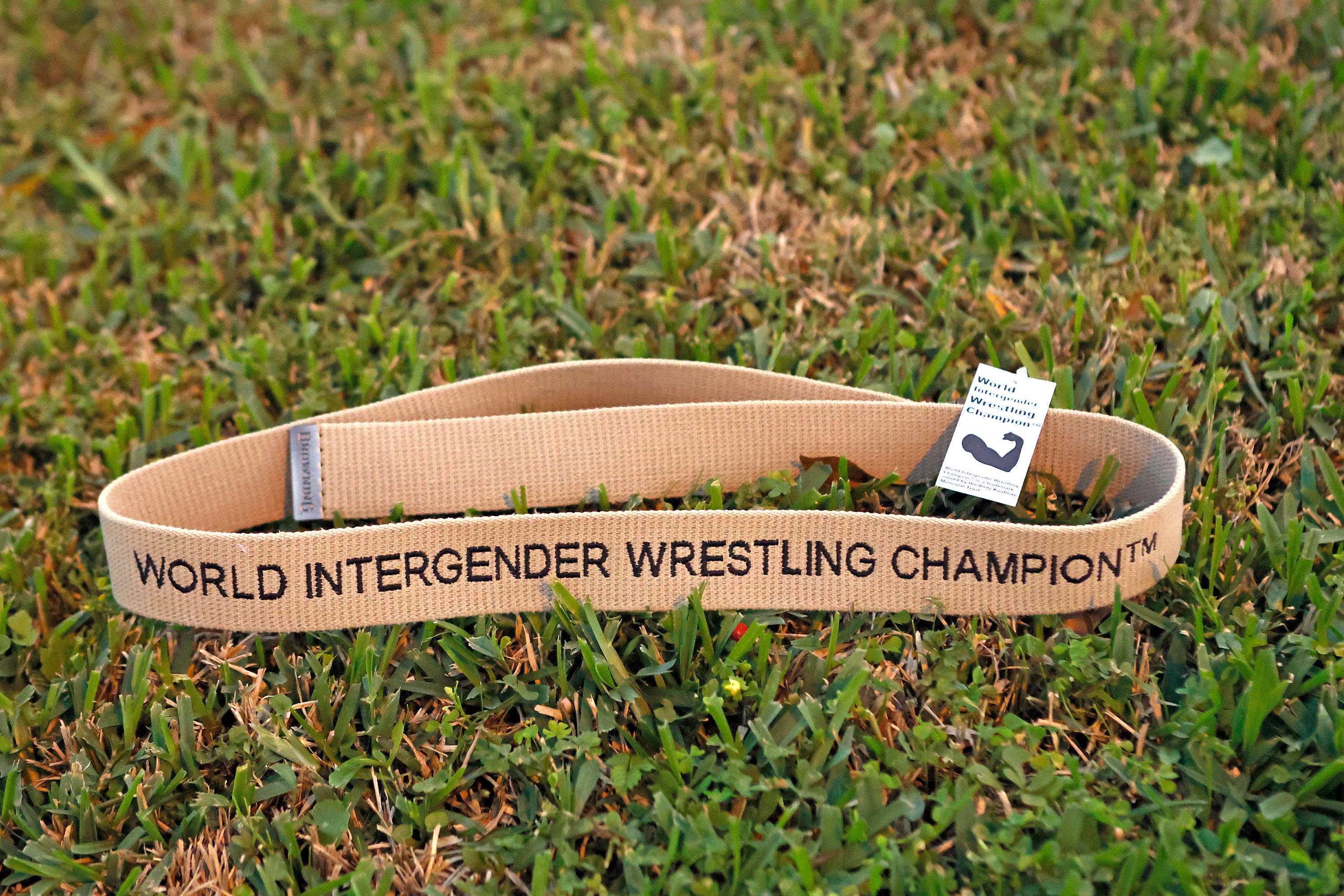 World Intergender Wrestling Champion™ belt